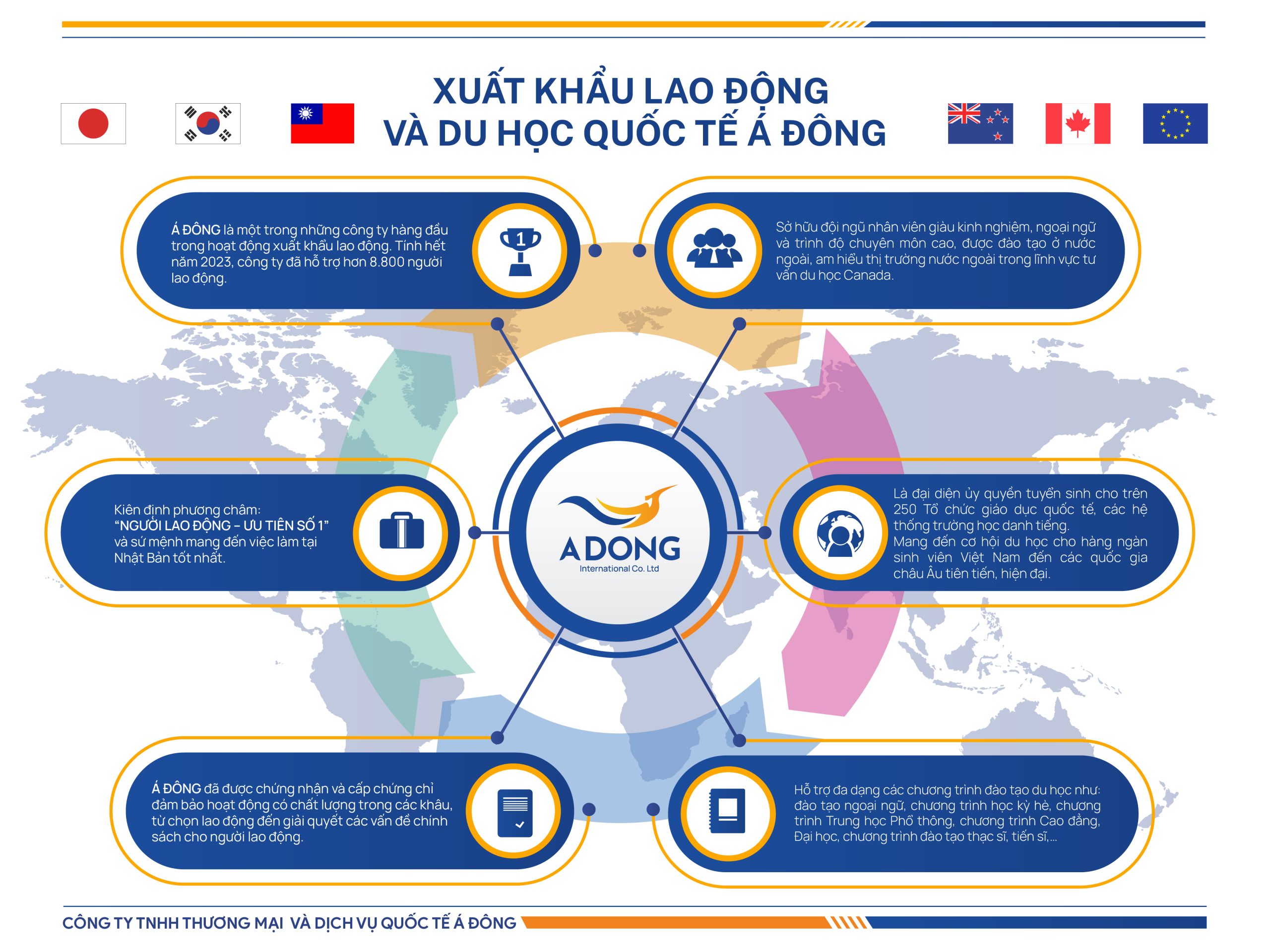 Inforgraphic A Dong Company 01